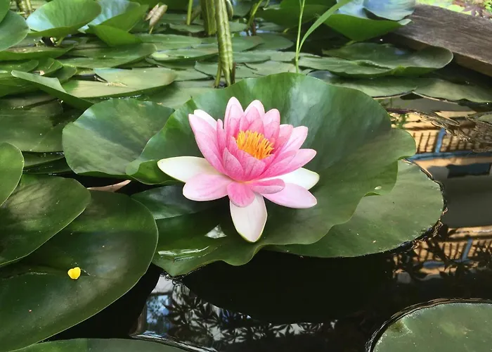 Sportland & Outdoor-center 2*